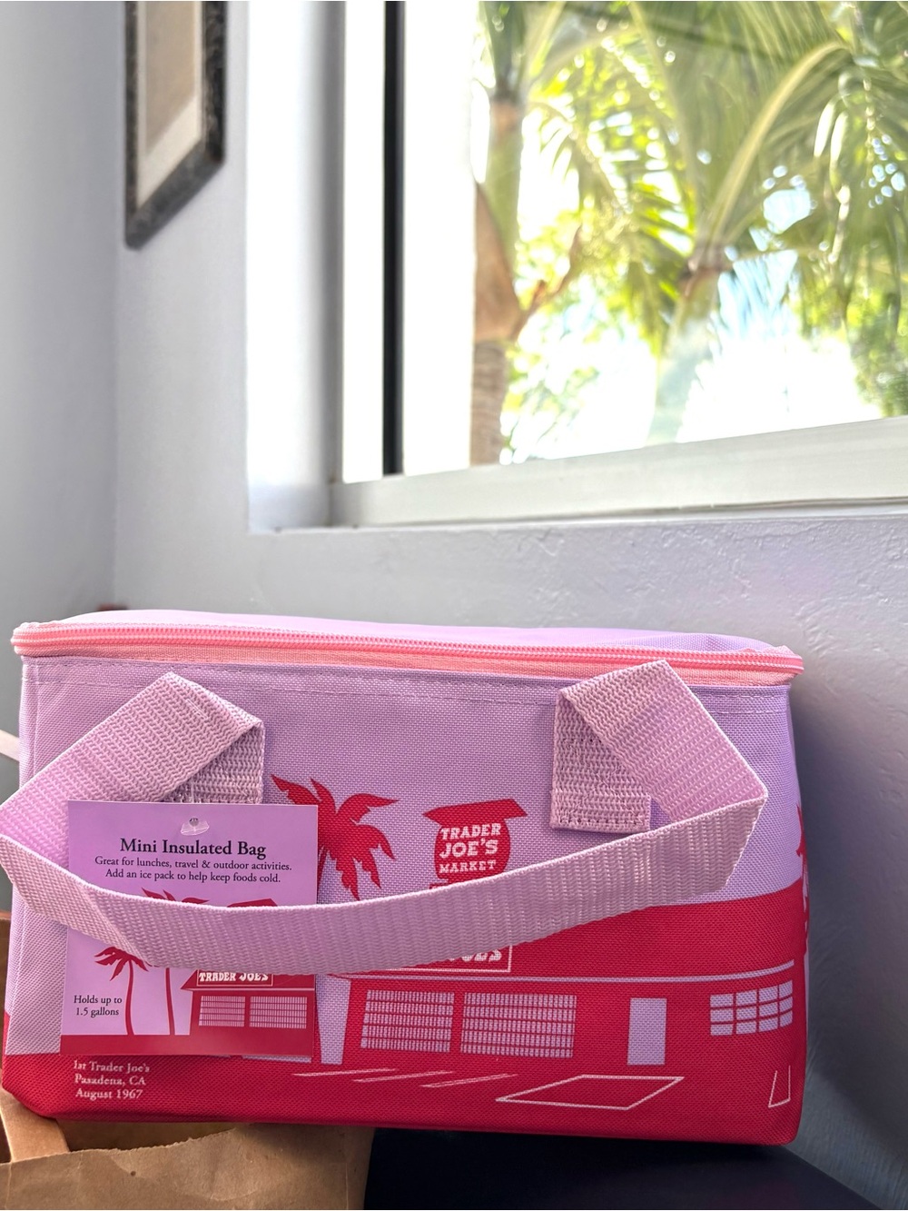 Trader Joe's Mini Insulated Tote